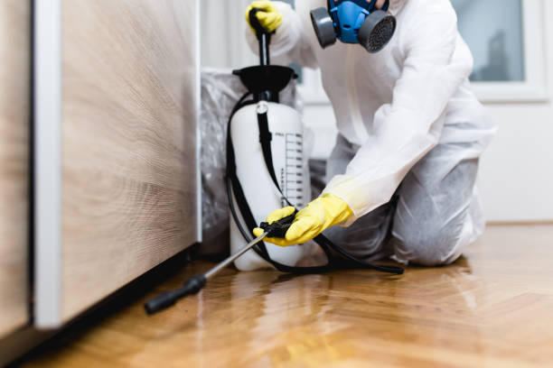 Best Pest Prevention Services  in Haubstadt, IN