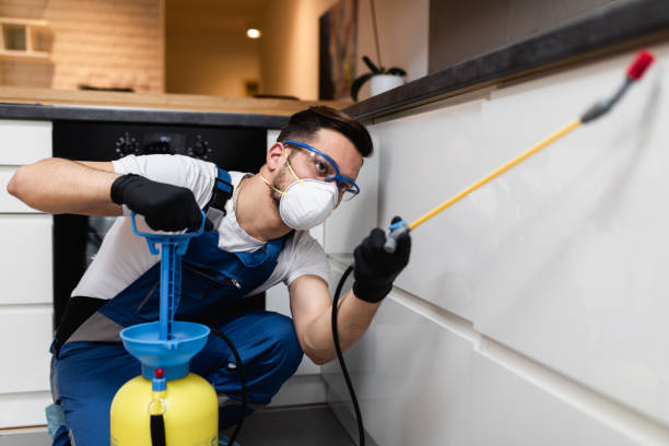 Best Affordable Pest Control Services  in Haubstadt, IN