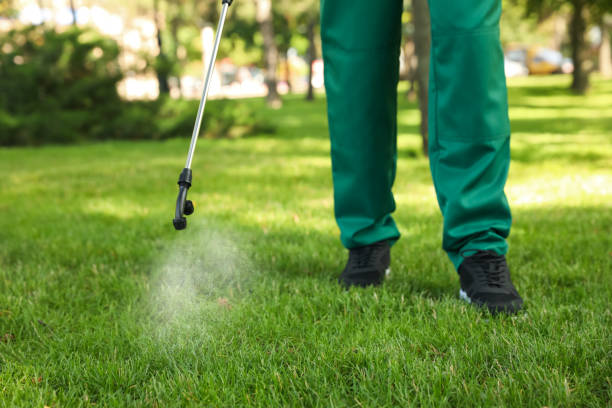 Best Pest Control Near Me in Haubstadt, IN