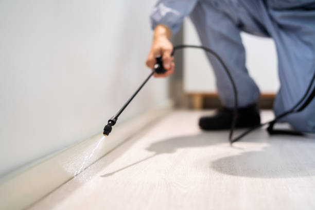 Best Commercial Pest Control Services  in Haubstadt, IN