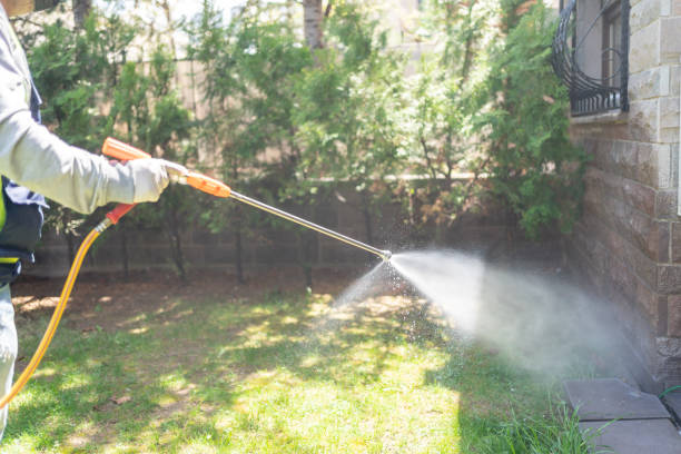 Best Wasp Removal Services  in Haubstadt, IN