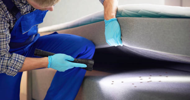 Best Residential Pest Control  in Haubstadt, IN