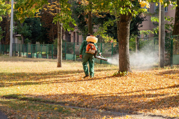 Best Mosquito Control Services  in Haubstadt, IN