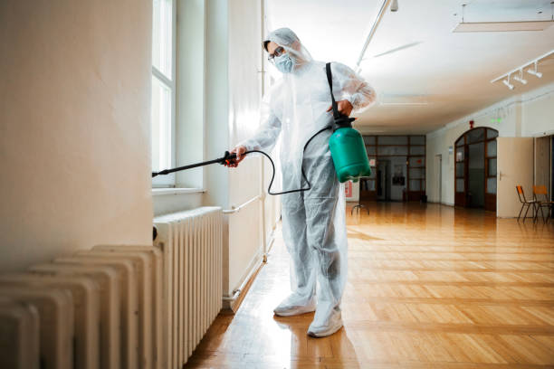 Best Emergency Pest Control  in Haubstadt, IN