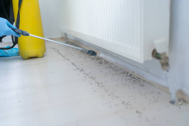 Professional Pest Control in Haubstadt, IN