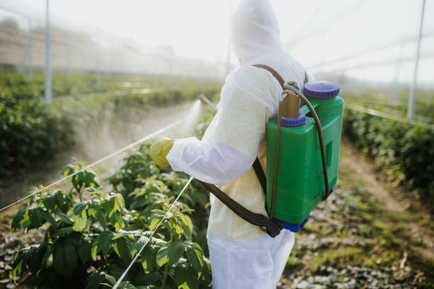 Best Best Pest Control Companies  in Haubstadt, IN